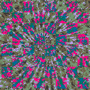 Tie-Dye-Camo NFT #0263 belongs to Group #631 © Dan Ellis